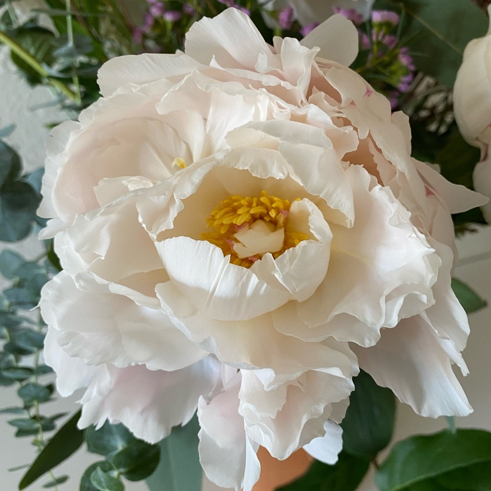 Meet your Posher, Erin